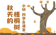 小班-秋天的梧桐树