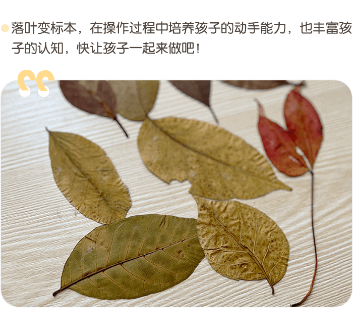 切图_01.png