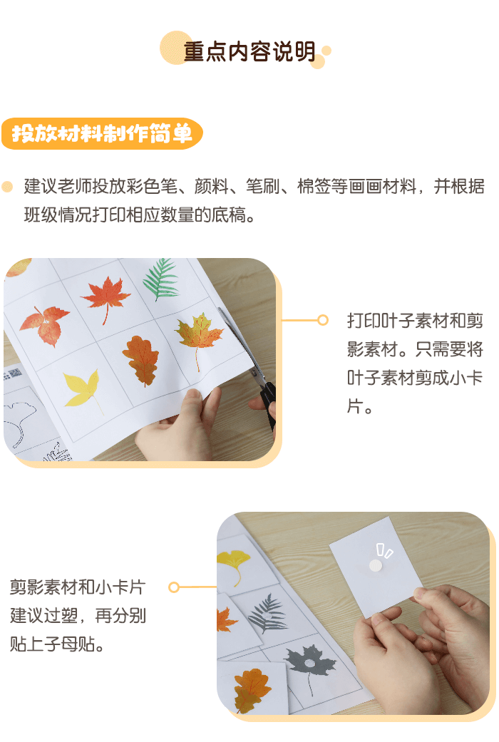 科学区-树叶剪影配对_02.png