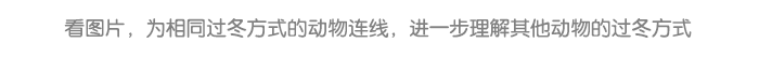 详情页6.png