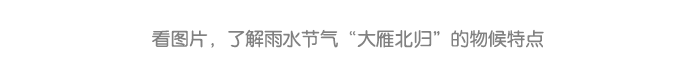 详情页9.png