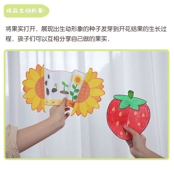 03种子的生长蜕变-详情页_05.png