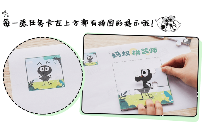 09-益智区-昆虫拼装师_06.png