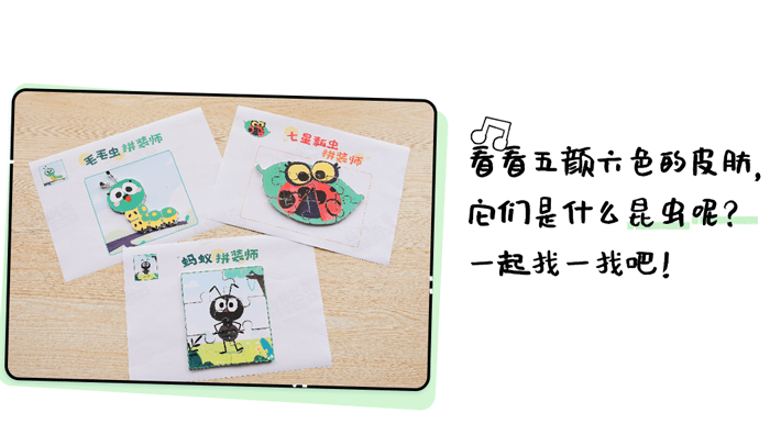 09-益智区-昆虫拼装师_01.png