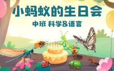 中班-小蚂蚁的生日会