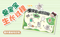 蚕宝宝生长过程