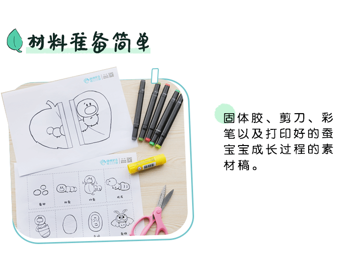 蚕宝宝成长手册详情页_02.png