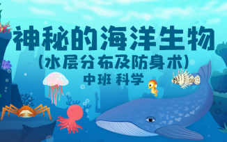 神秘的海洋生物