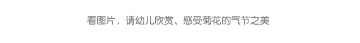 详情页7.png