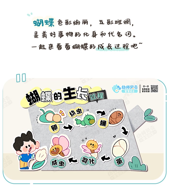 蝴蝶生长过程_01.png