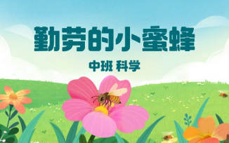 勤劳的小蜜蜂