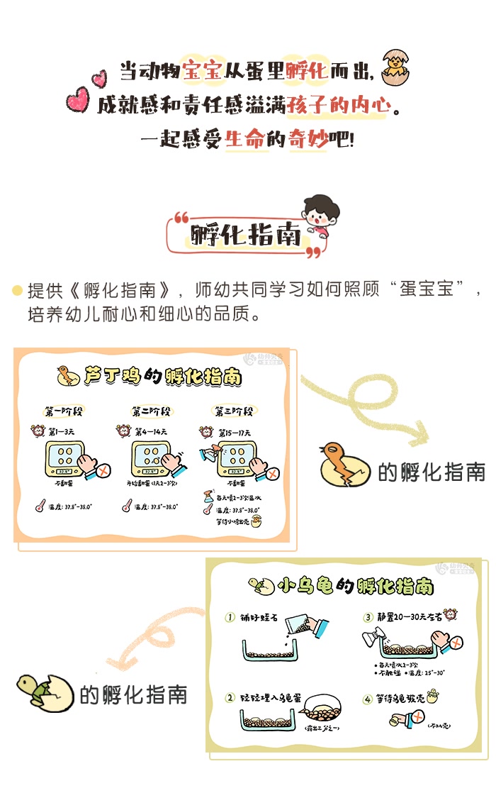 孵化蛋宝宝_01.png