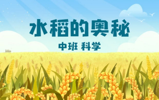 水稻的奥秘