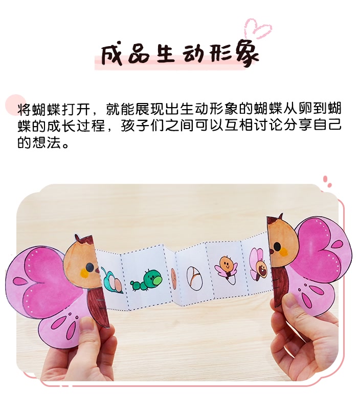 蝴蝶成长手册_03.png