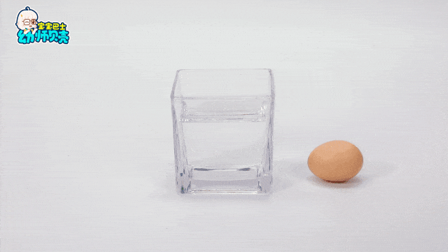 02 不会下沉的鸡蛋.gif